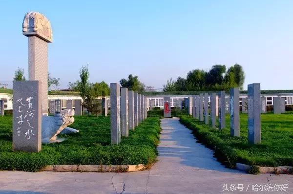 哈尔滨尚志要开挂了！如果三年后你还在尚志，将面对的竟是这些