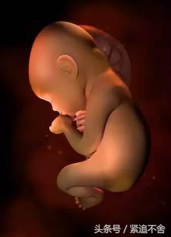 超萌龙凤胎宝宝图片,孕1到9周胎儿发育全过程