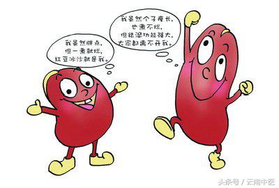 人参归脾丸和健脾丸的区别,归脾丸和健脾丸的区别的视频