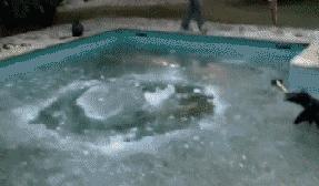 少年站起来歌曲,少年你应该勇敢起来