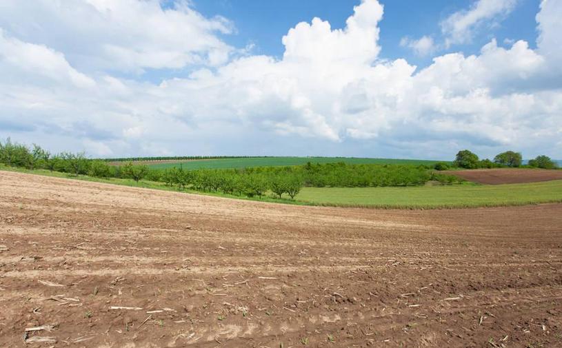中国农业发展趋势及前景,中国农业行业前景