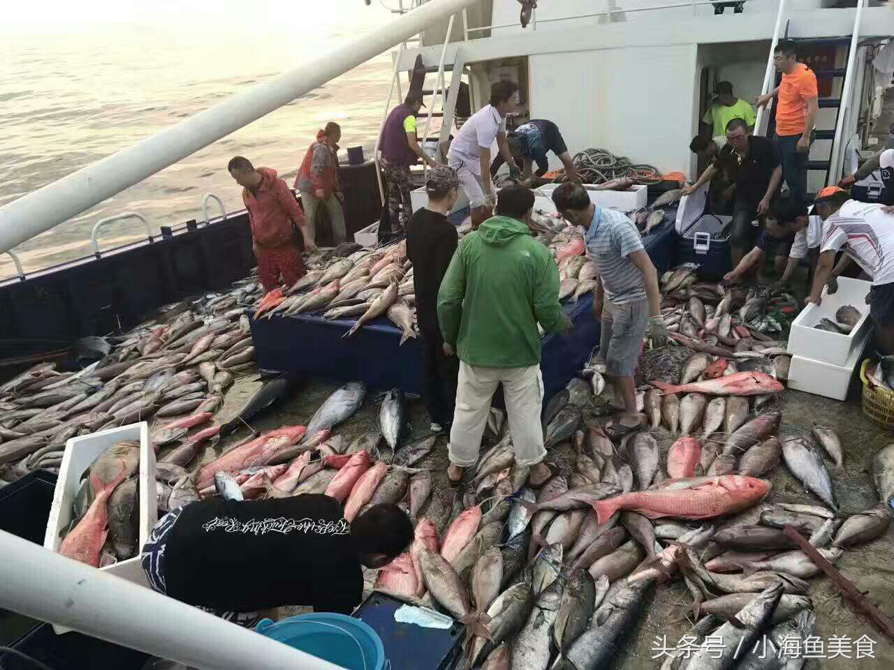海南人农村小沟野钓,海南招募新村民