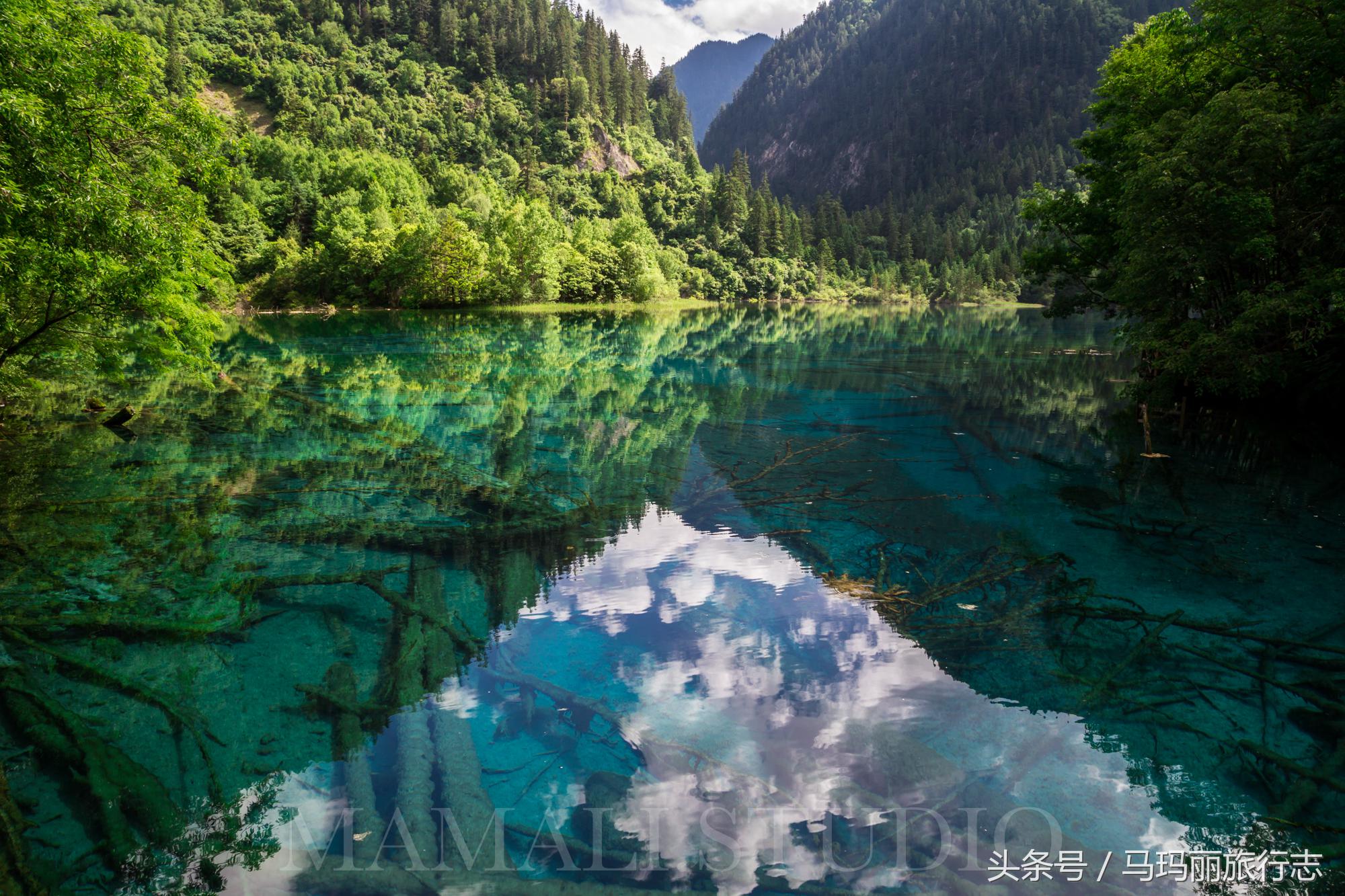 九寨沟亲子度假必选酒店,九寨沟藏羌风情酒店