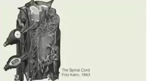 这位生物黑客教授竟然从苹果中培育出耳朵，功能与常人无异