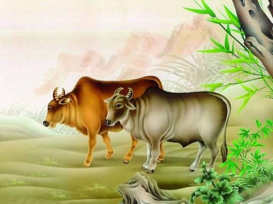 这3大生肖未来8个月好运一飞冲天,这三个生肖定能迎来富贵的生活