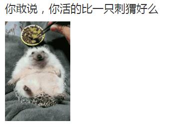 搞笑幽默段子，愚人节网恋下辈子是不是要托生成王思聪的狗？我可不想我妈找小白脸