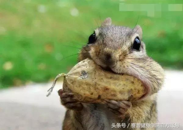 吃增肌粉的好处与副作用,增肌粉含不含有激素