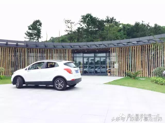 高淳去南京玩,高淳看荷花