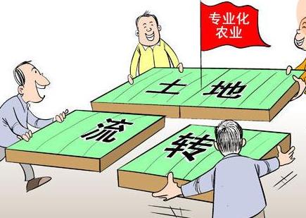 中国农业发展趋势及前景,中国农业行业前景