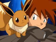 宠物小精灵小智手中最强10只精灵,宠物小精灵之精灵培育