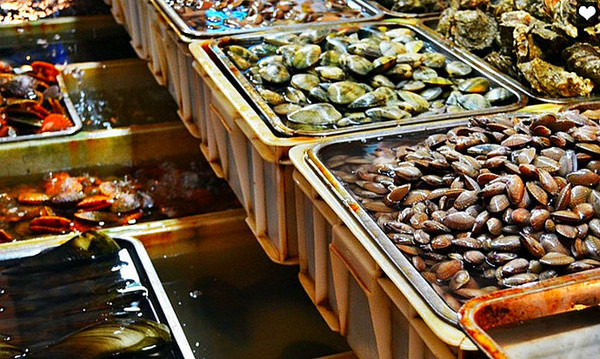 三亚旅游防蚊虫攻略,三亚防宰攻略详细