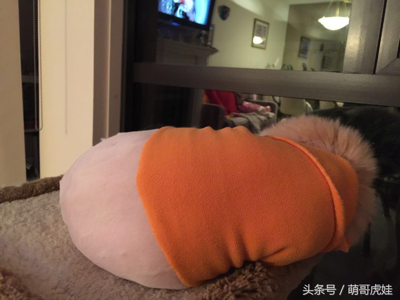 澶忓ぉ鏉ヤ簡鐚ゴ,澶忓ぉ鏉ヤ簡瑕佺粰鐚壀姣涘悧