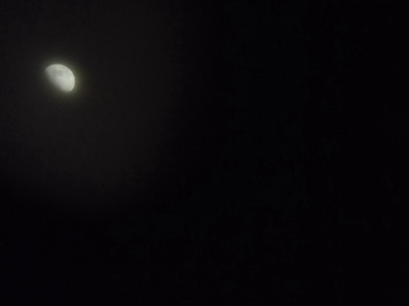 云光熊猫望远镜评测,云光yjm1050e望远镜测评