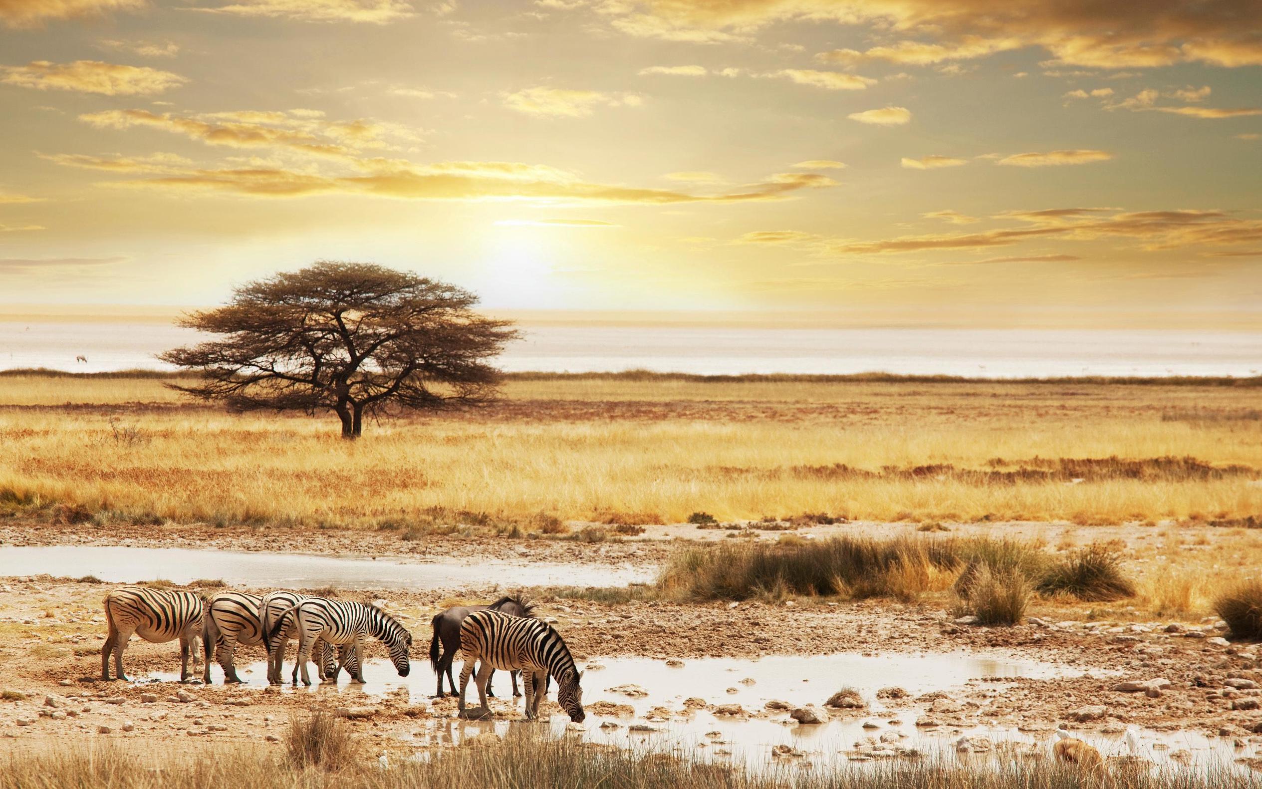 《花儿与少年第三季》完美收官，那些景点到底有多美？