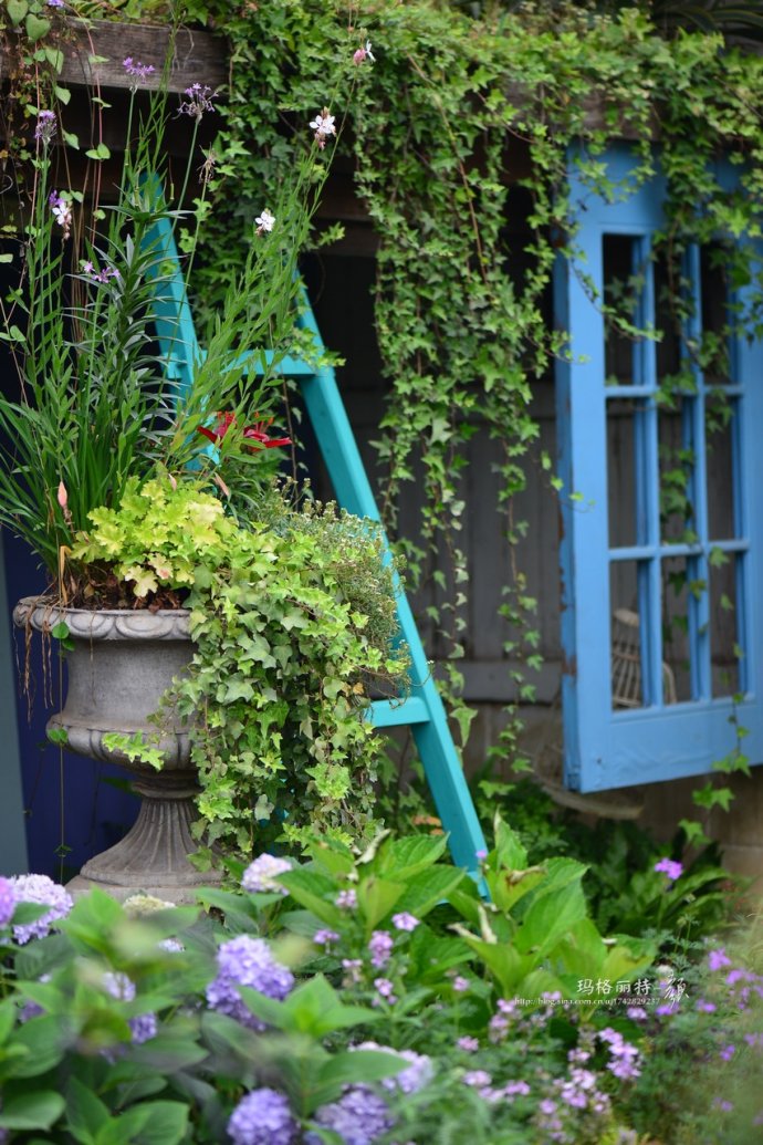 成都玛莉亚色彩花园,成都玛莉亚色彩花园电话