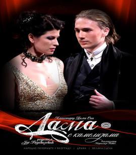 北京周末活动推荐,北京本周活动清单