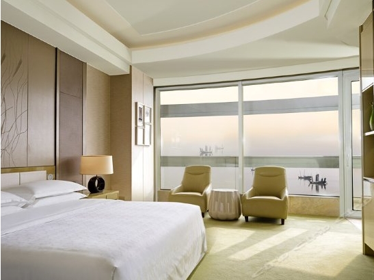 七星级酒店中国有几家,七星级酒店是什么样的