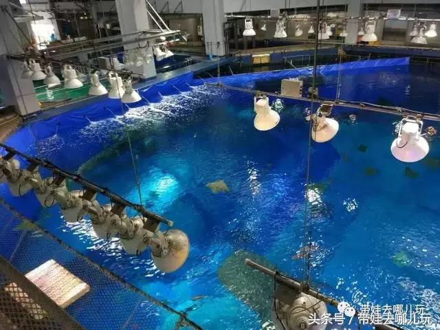 冲绳亲子游最强攻略,冲绳带娃旅游攻略