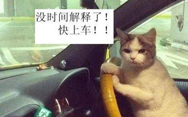 启动踩离合油门要踩死吗,启动车子踩离合