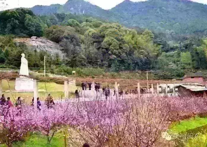 包吃住宁德农家乐地址,宁德古田翠屏湖农家乐