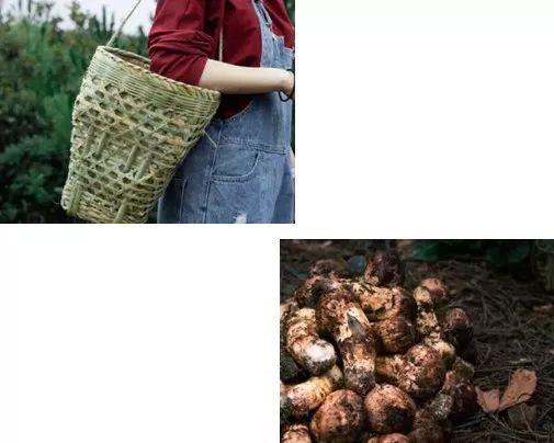 coopers2023款,coopers沉浸式