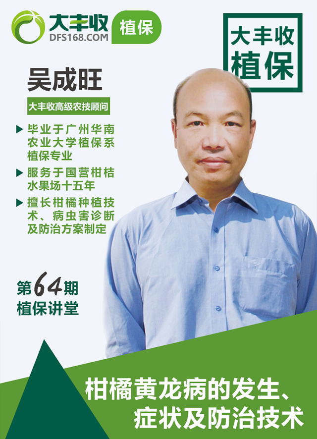 他在国营柑橘基地干了15年，总结了一套超实用的黄龙病防治方法