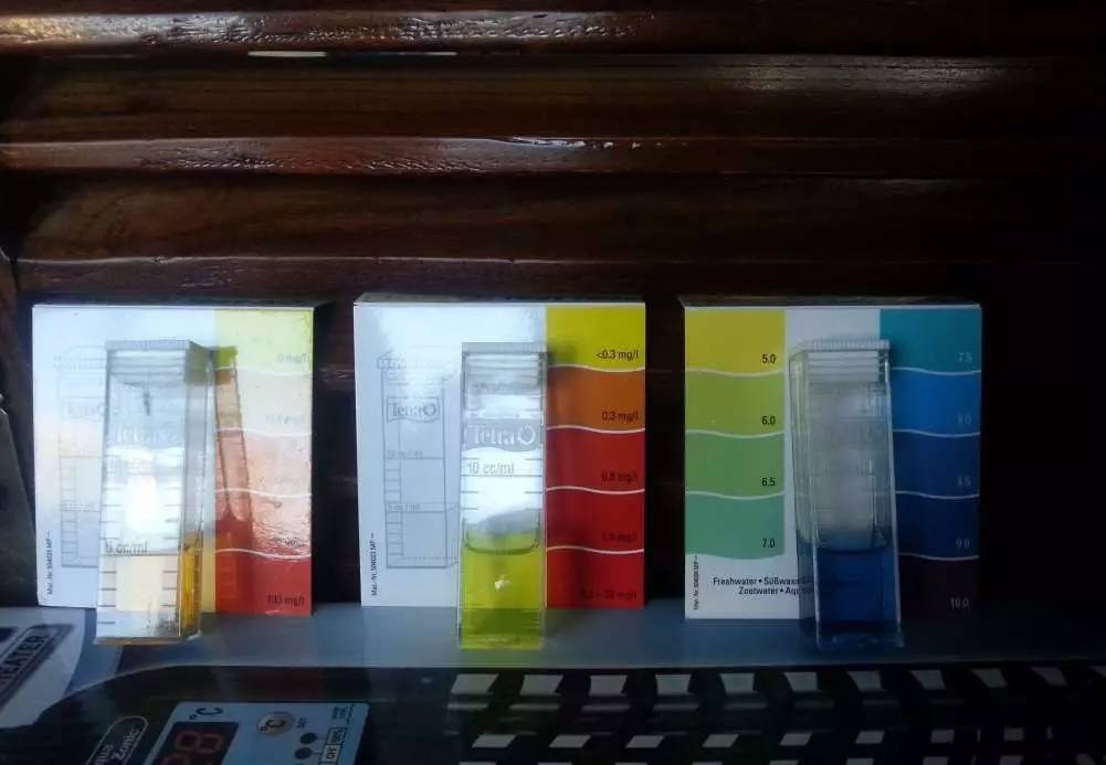 2米龙魟虎缸，23天开缸全记录