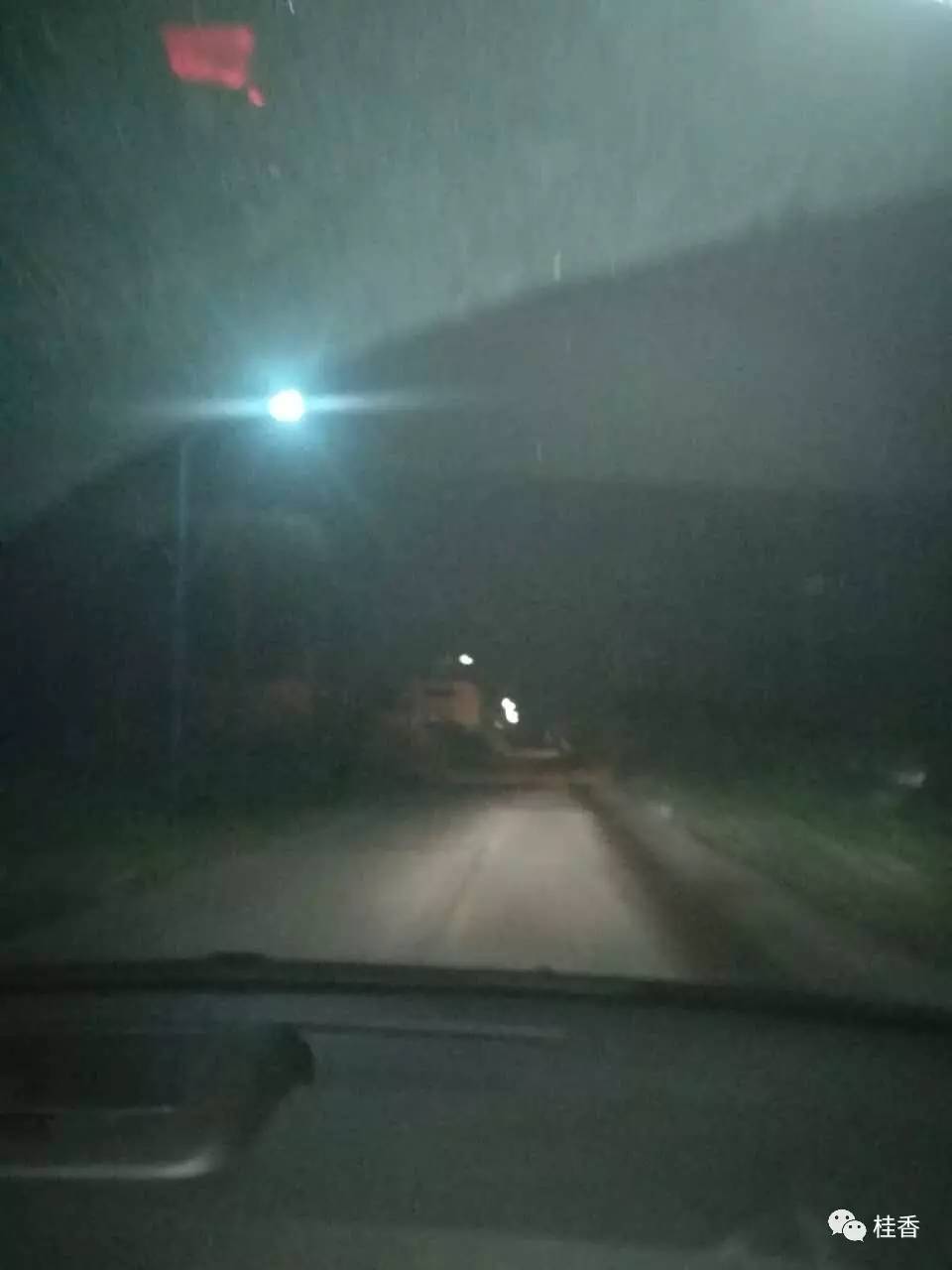 说说我养猫的事情,2个小时的养狗经历