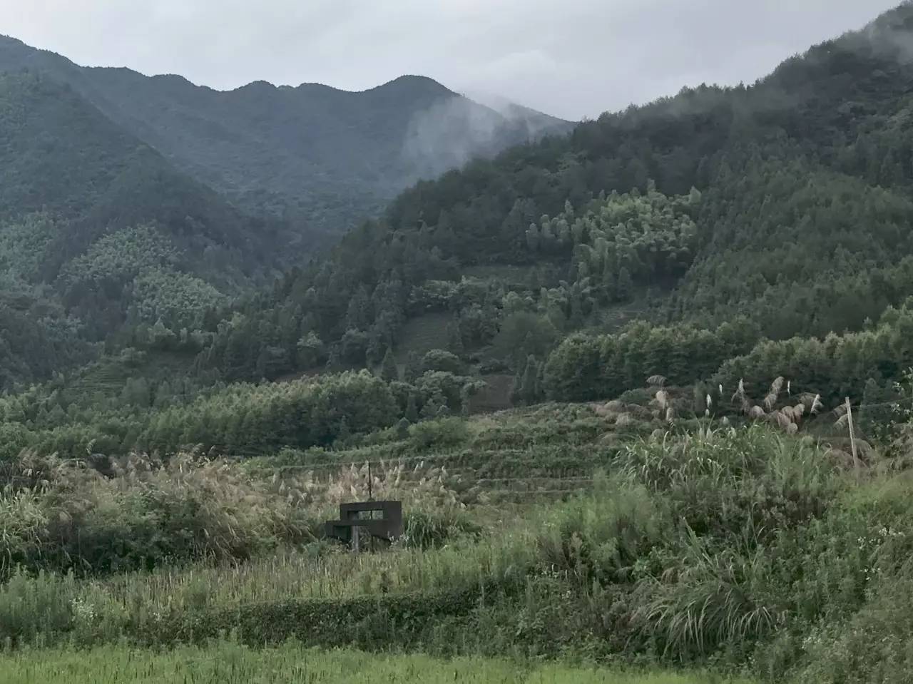 碧山工销社｜崔灿灿｜策展手记