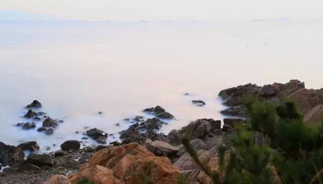 青岛上榜“最受追捧海洋游目的地”“7月份最佳避暑旅游城市”!是的,来青岛避暑就对了!