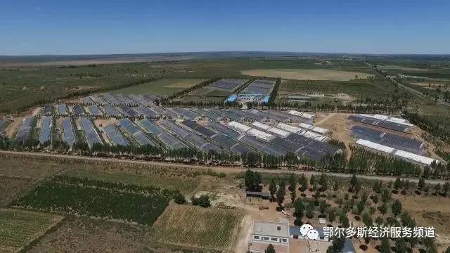 伊金霍洛旗少儿舞蹈,伊金霍洛选拔赛