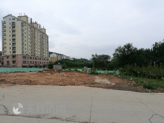 鍟勬湪楦熷湪琛屽姩琚姄,鍟勬湪楦熷湪琛屽姩璋冩煡鎶ュ憡