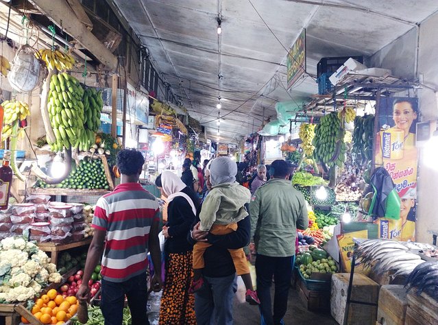 在斯里兰卡旅游必做的10件事,在斯里兰卡的难忘旅行经历