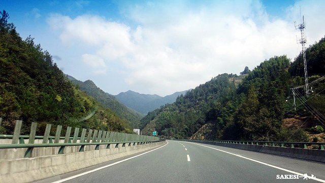 金毛萨克斯,金毛挑战全部视频