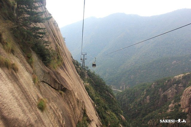 金毛萨克斯,金毛挑战全部视频