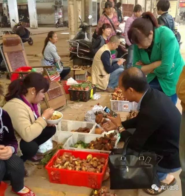 请不要对着手机流口水\^O^/宾川鸡足山正疯长的野生菌