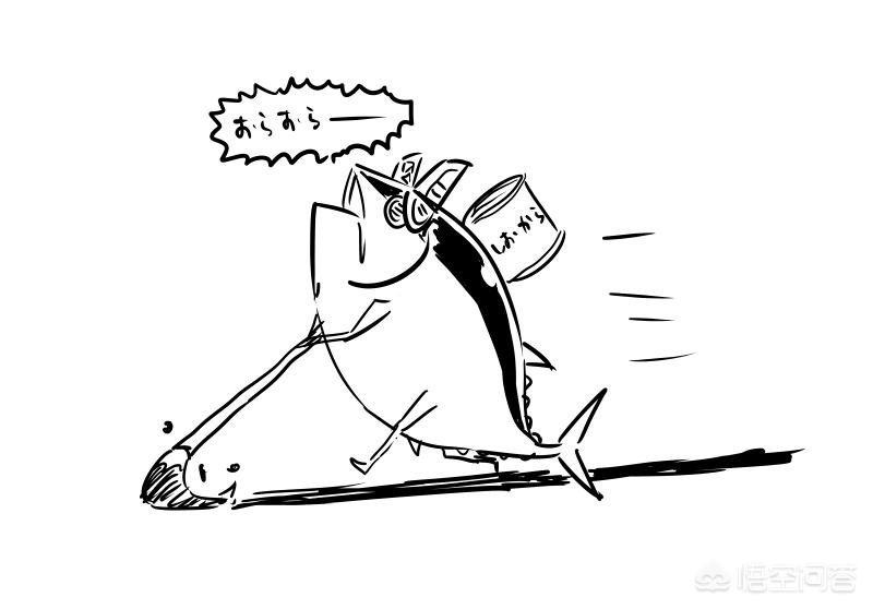 大学生在闲鱼买东西,大学生网购问题存在原因