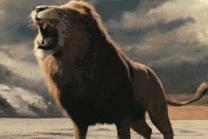 中国给外国明星起名字,外国明星最喜欢的中文名