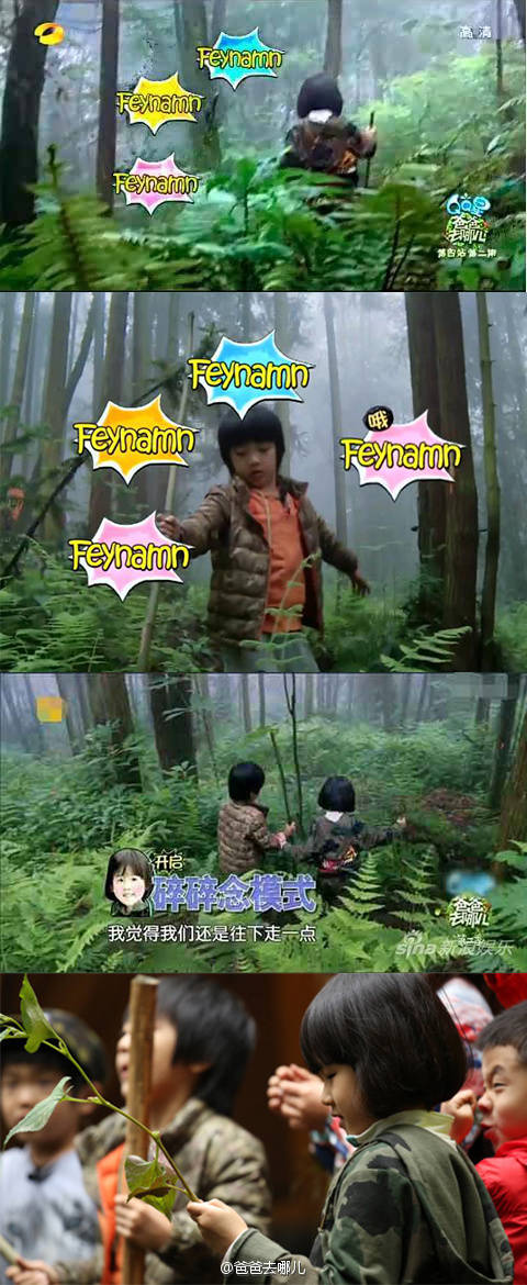 家有儿女森碟女大十八变,11岁森碟长大后图