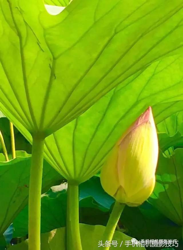 拍好照片的三个标准你值得一看,拍一张好照片容易吗