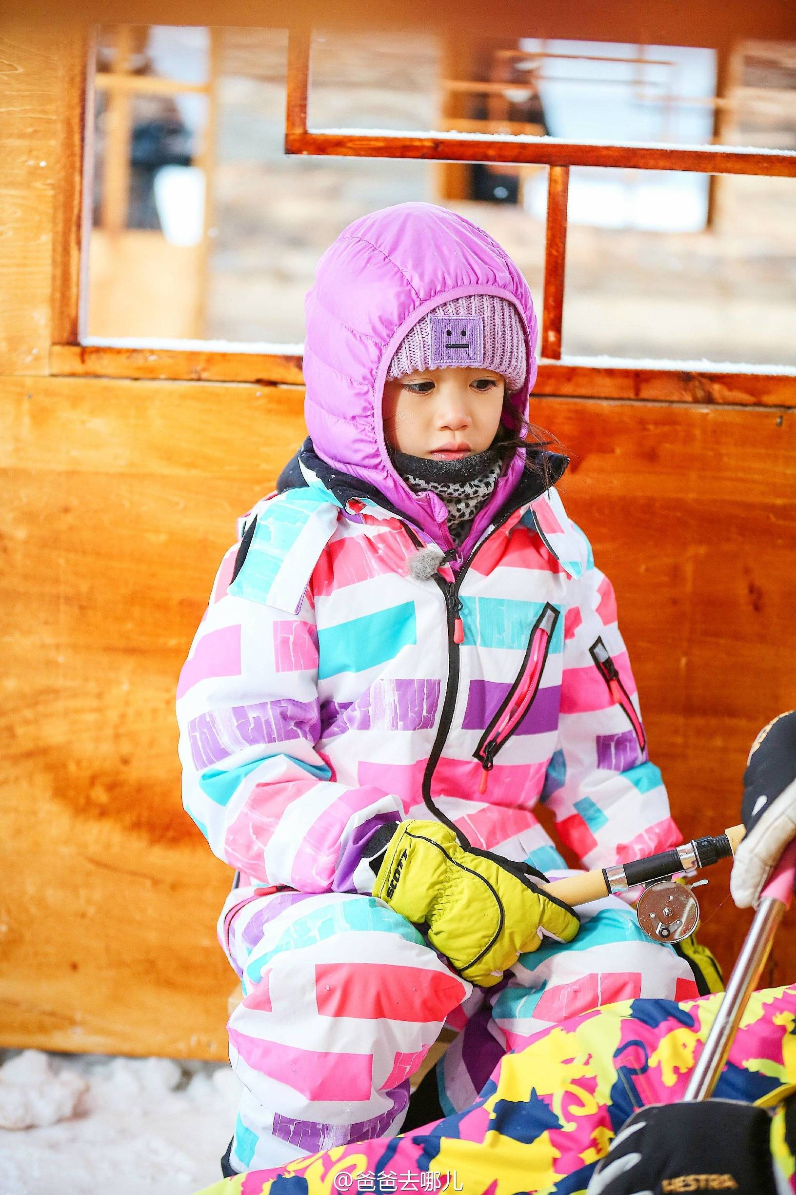 家有儿女森碟女大十八变,11岁森碟长大后图