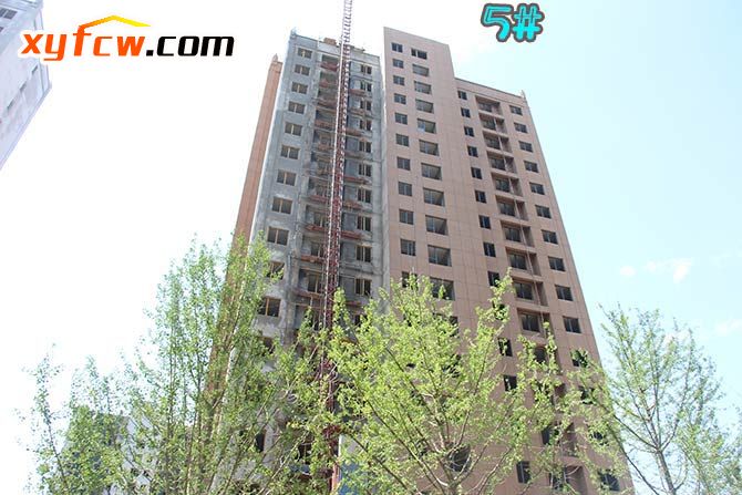 世界城二期开盘多少钱,世界城二期119平3房