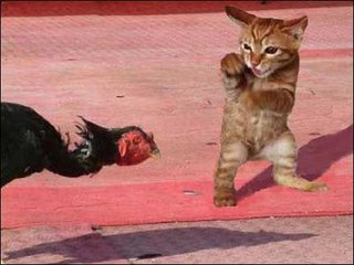 我就像一只趴在玻璃窗上面的苍蝇,我就像一只趴在玻璃上的苍蝇