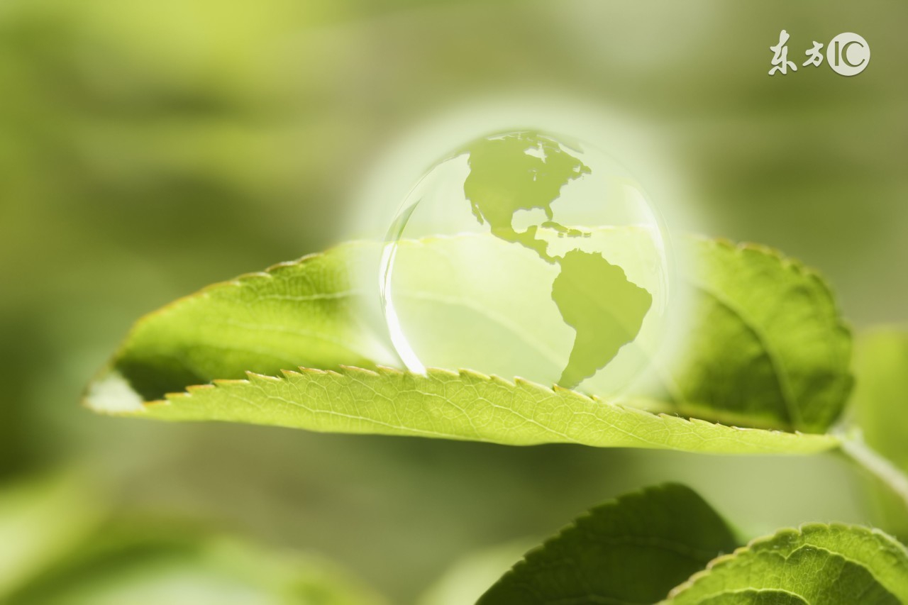 鏁欒偛鍜ㄨ甯堝ソ鍋氬悧,鏁欒偛鍜ㄨ甯堥潬璋卞悧