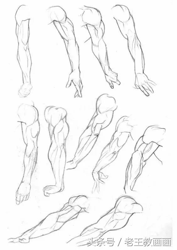 教100个零基础画画小白,零基础自学绘画入门书