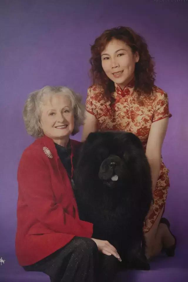 狗生如梦｜ONE实验室