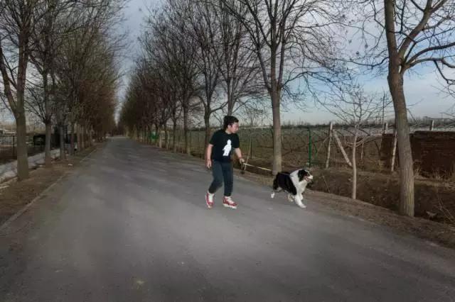 狗生如梦｜ONE实验室