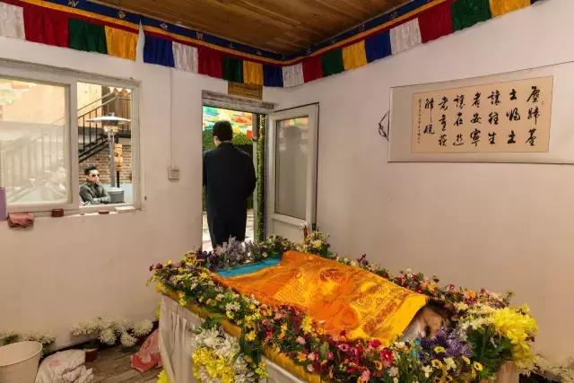 狗生如梦｜ONE实验室