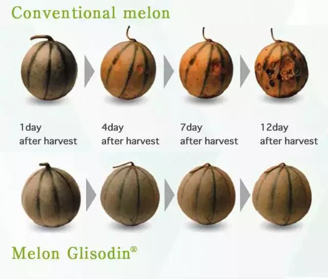 pola美白丸正确使用方法一日三次,日本pola美白丸有效果吗