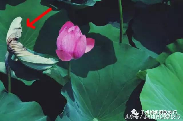 拍好照片的三个标准你值得一看,拍一张好照片容易吗